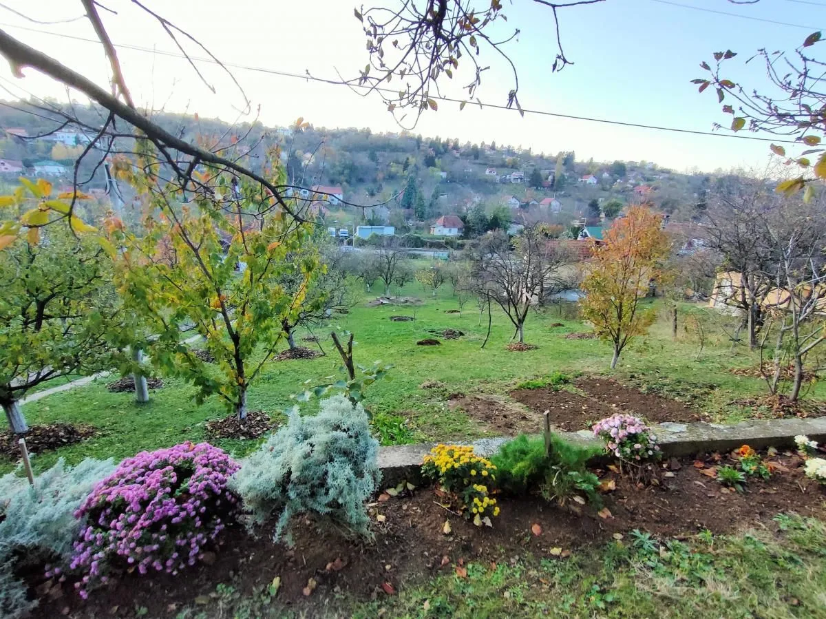 Prodaja, kuća, 181m², Sremska Kamenica, Petrovaradin