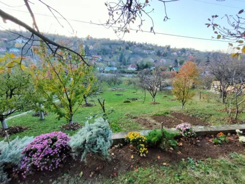 Prodaja, kuća, 181m², Sremska Kamenica, Petrovaradin - image 14