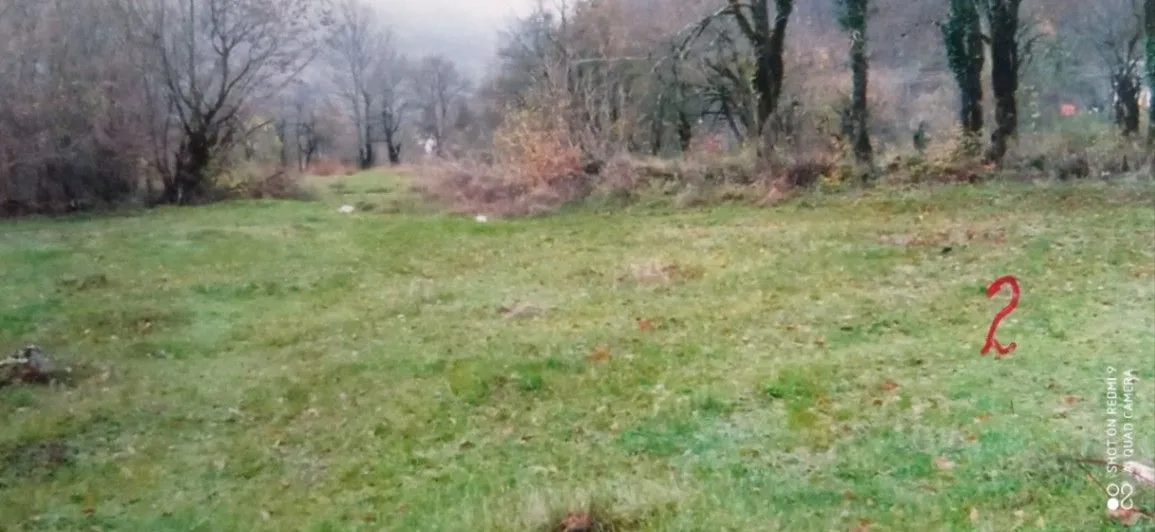 Prodaja, plac, 5000m², Brijeg, Plužine