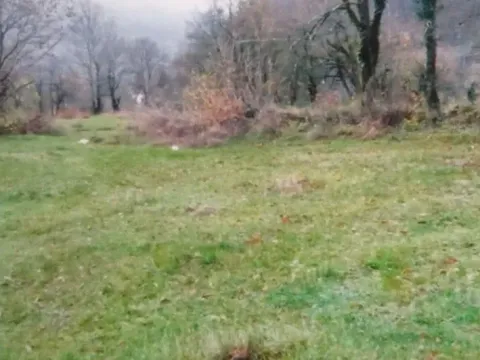 Prodaja, plac, 5000m², Brijeg, Plužine - image 8