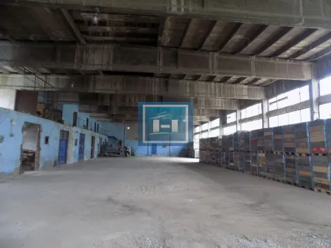 Prodaja, poslovni prostor, 1180m², Žabare, Paraćin - image 27