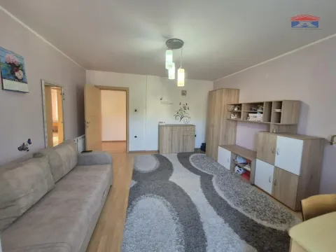 Izdavanje, kuća, 253m², Sremska Kamenica, Petrovaradin - image 5