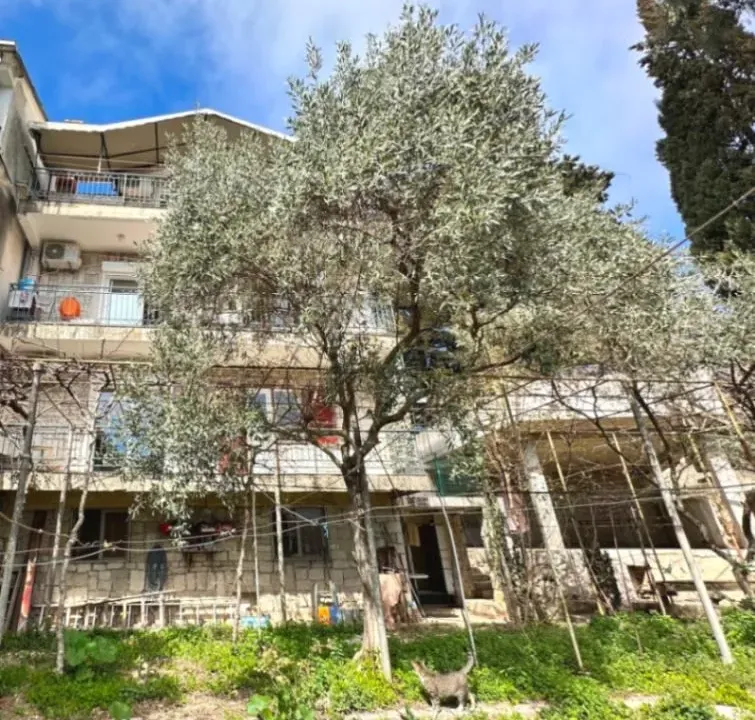 Prodaja, kuća, 234m², Savina, Herceg Novi
