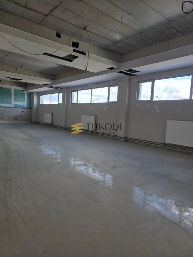 Rent, office space, 4597m², Šangaj, Novi Sad Sve Podlokacije