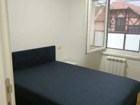 Izdavanje, jednosoban stan, 44m², Zemun Sve Podlokacije, Beograd - image 6