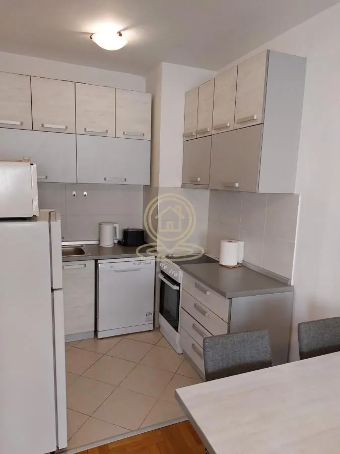 Izdavanje, dvosoban stan, 46m², Centar Sve Podlokacije, Beograd