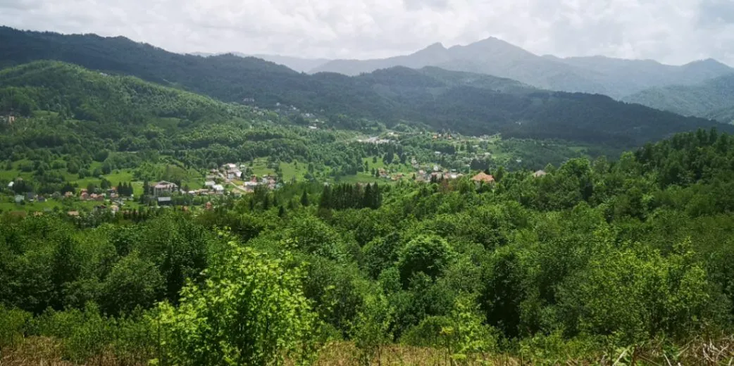 Prodaja, plac, 5300m², Bašanje Brdo, Kolašin