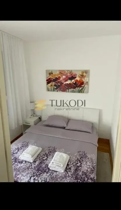Rent, one bedroom apartment, 48m², Novi Beograd Blok 67, Novi Beograd Sve Podlokacije