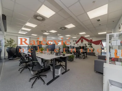 Rent, office space, 289m², Tašmajdan, Palilula Sve Podlokacije - image 3