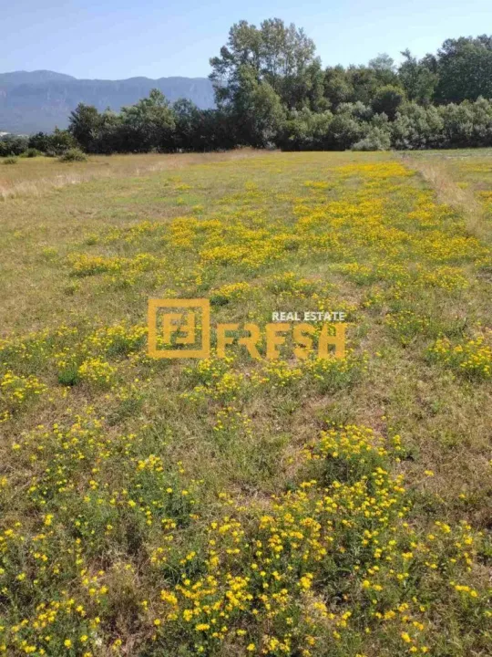 Prodaja, plac, 1150m², Danilovgrad, Crna Gora