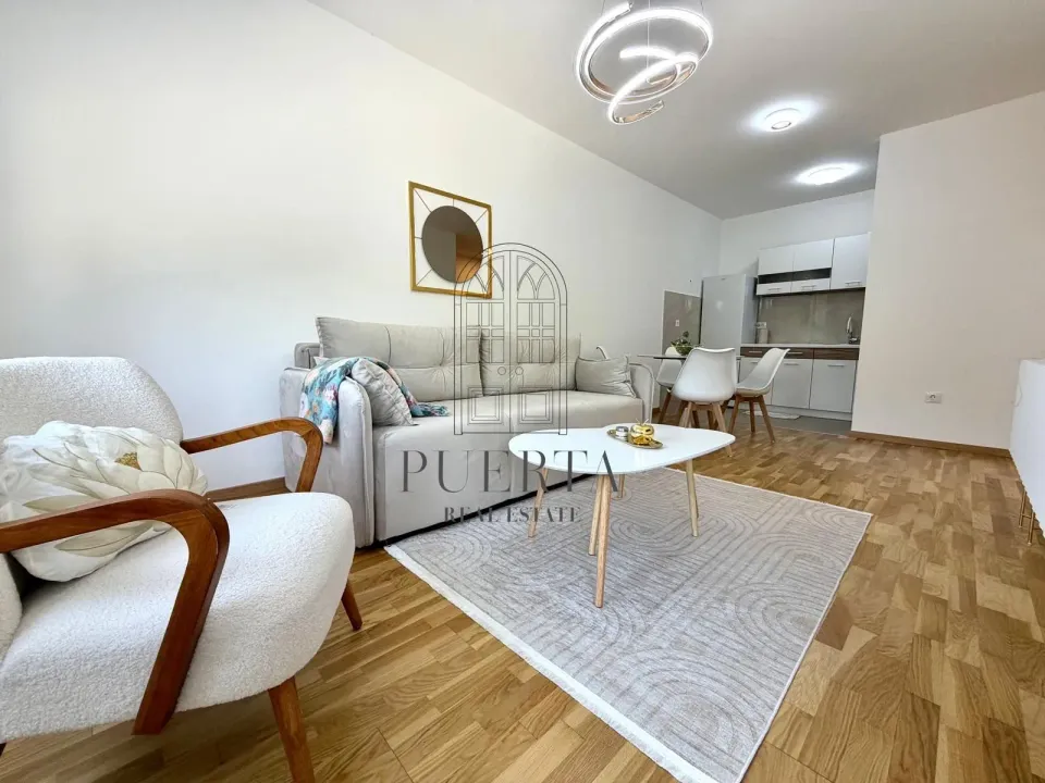 Rent, one bedroom apartment, 42m², Zagorič, Podgorica