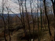 Sale, land lot, 9500m², Piperi, Podgorica - image 8