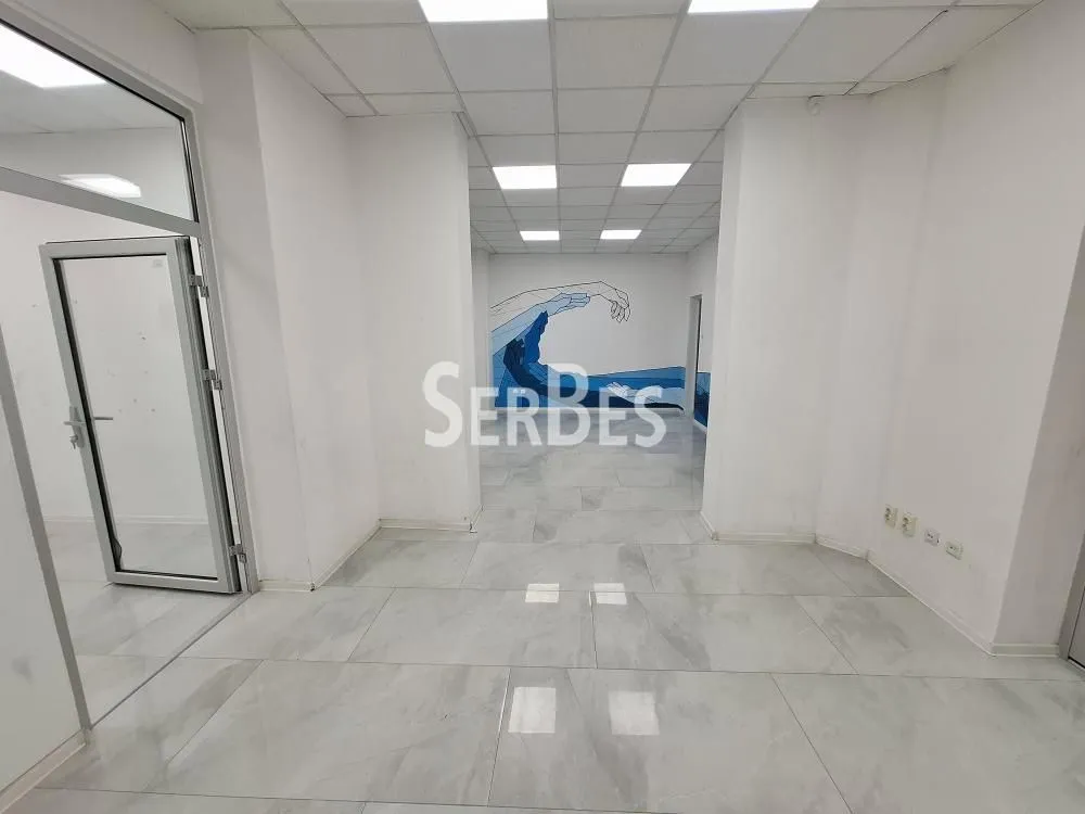 Izdavanje, poslovni prostor, 235m², Novi Sad Sve Podlokacije, Novi Sad