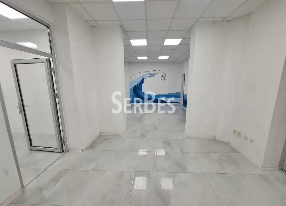 Izdavanje, poslovni prostor, 235m², Novi Sad Sve Podlokacije, Novi Sad