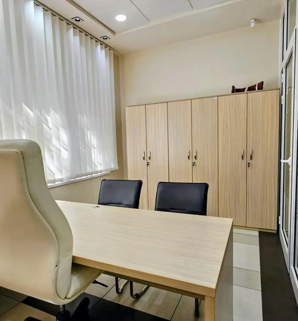 Rent, office space, 318m², Profesorska Kolonija, Palilula Sve Podlokacije