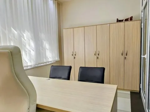 Rent, office space, 318m², Profesorska Kolonija, Palilula Sve Podlokacije - image 14