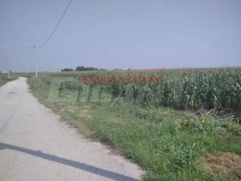 Sale, land lot, 8900m², Ovča, Palilula Sve Podlokacije - image 3