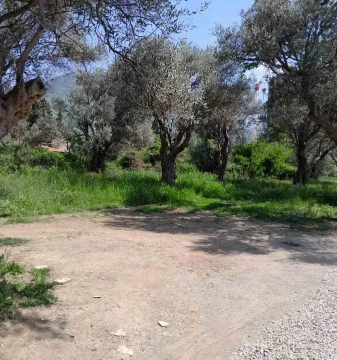 Sale, land lot, 500m², Bjeliši, Bar