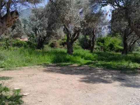 Sale, land lot, 500m², Bjeliši, Bar