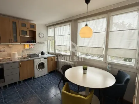 Izdavanje, dvosoban stan, 50m², Šumice, Beograd - image 6