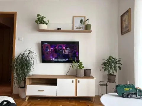 Dnevna soba sa TV komodom, policom i sobnim biljkama. - image 4