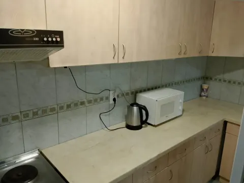 Izdavanje, dvosoban stan, 47m², Liman 3, Novi Sad Sve Podlokacije - image 3