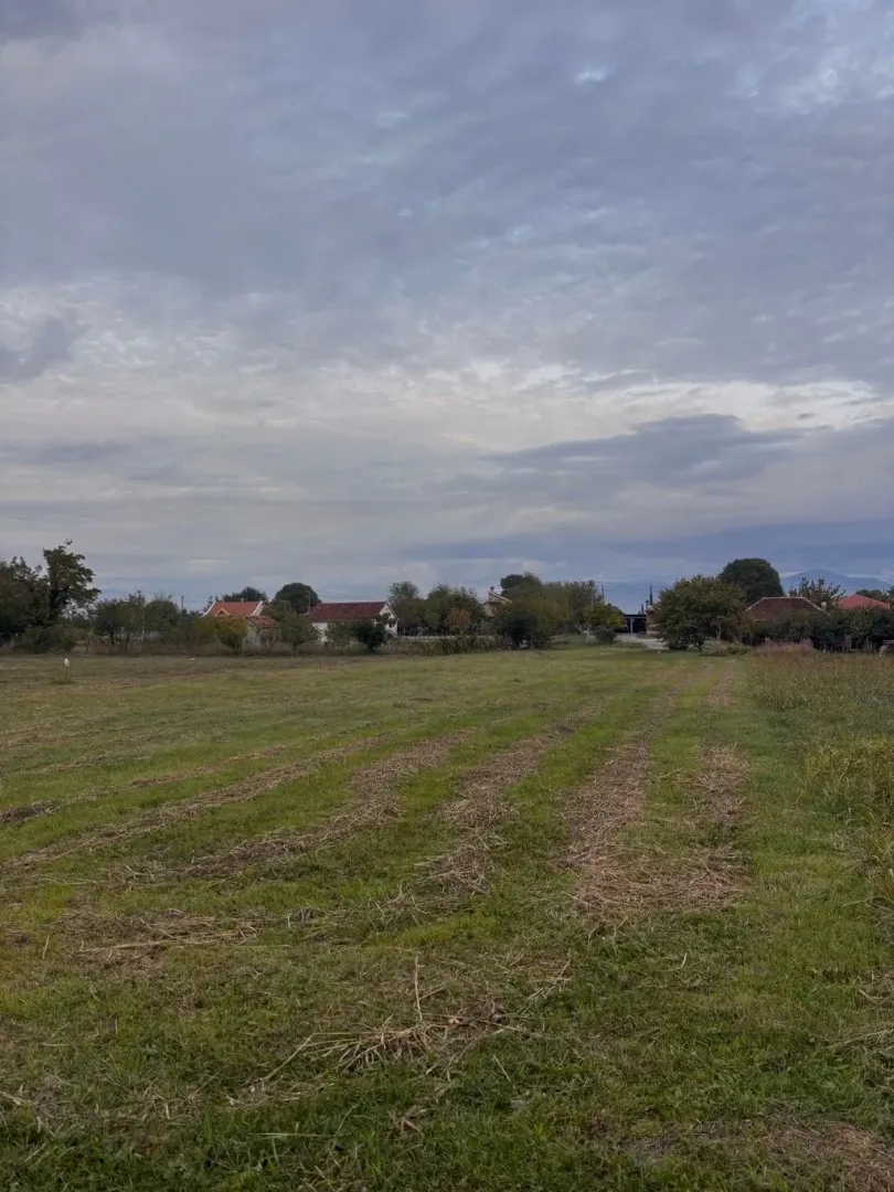 Pogled na prostrano travnato zemljište sa kućama u pozadini.
