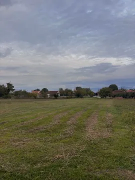 Pogled na prostrano travnato zemljište sa kućama u pozadini. - image 3