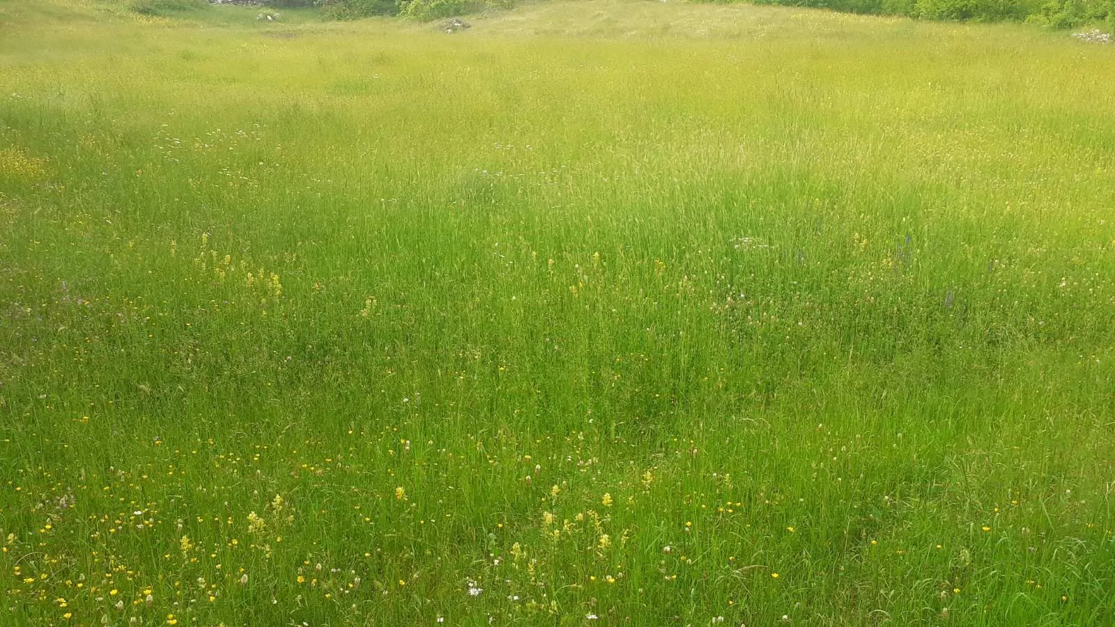 Sale, house, 80m², Nikšić, Crna Gora