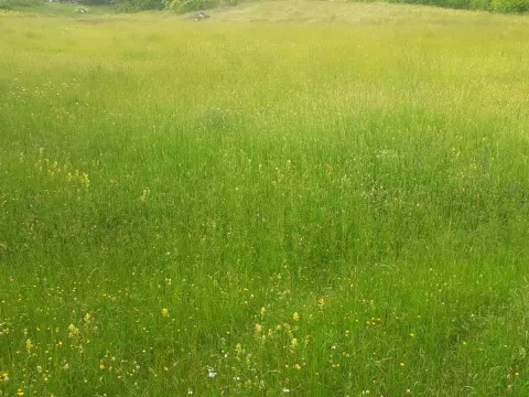 Prodaja, kuća, 80m², Nikšić, Crna Gora - image 3