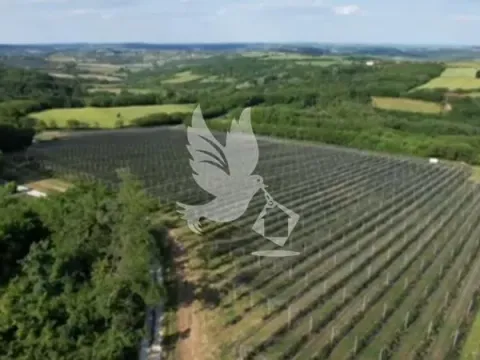 Sale, land lot, 32000m², Babe, Sopot - image 3