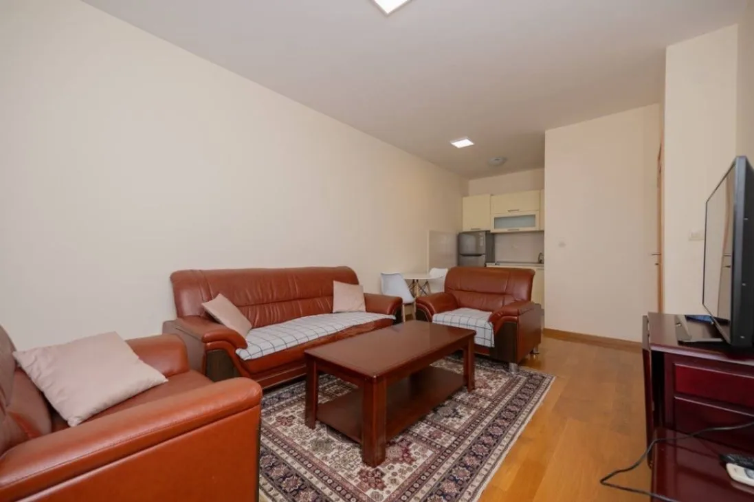 Izdavanje, jednosoban stan, 48m², Blok 9, Podgorica