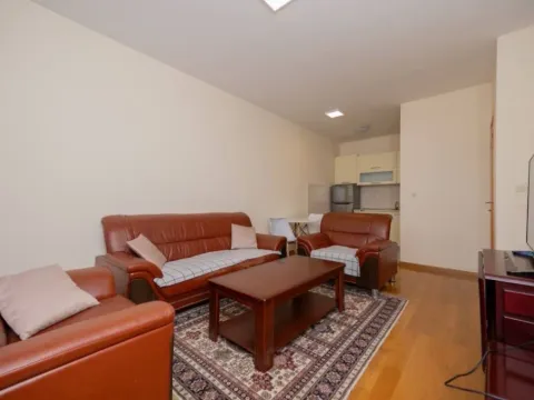 Izdavanje, jednosoban stan, 48m², Blok 9, Podgorica - image 3