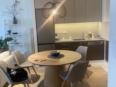 Rent, two bedroom apartment, 55m², Savski Venac, Beograd - image 4