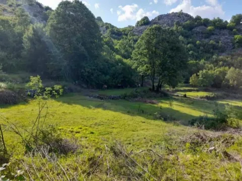 Sale, land lot, 30604m², Štitari, Cetinje