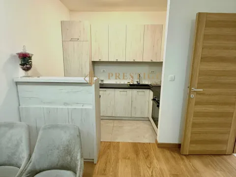 Rent, one bedroom apartment, 45m², City Kvart, Podgorica - image 6