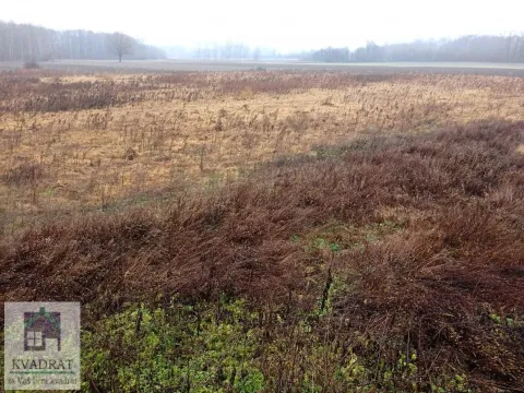 Sale, land lot, 300m², Konatice, Obrenovac - image 3