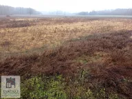 Prodaja, plac, 300m², Konatice, Obrenovac - image 3