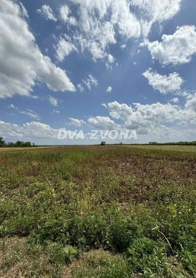 Prodaja, plac, 1000m², Čortanovci, Inđija