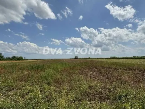 Prodaja, plac, 1000m², Čortanovci, Inđija - image 2