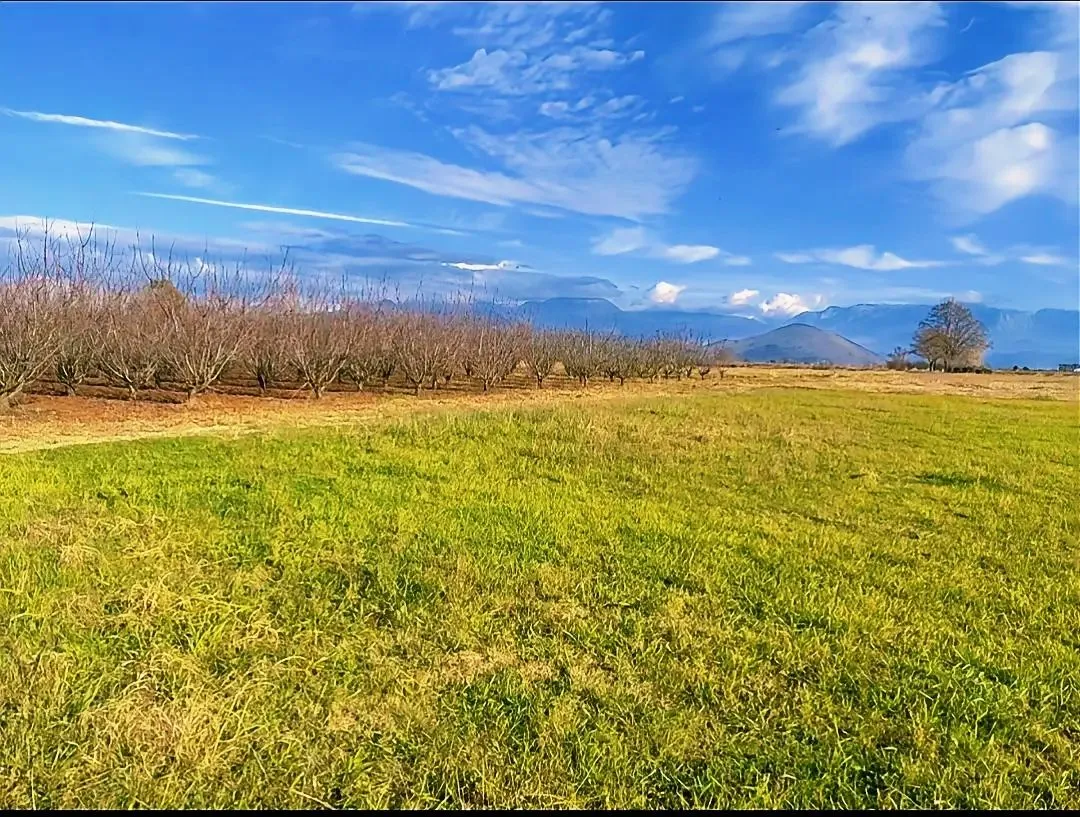 Prodaja, plac, 14618m², Mataguži, Podgorica