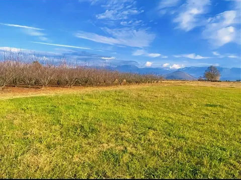 Prodaja, plac, 14618m², Mataguži, Podgorica - image 6