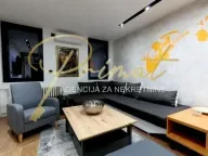 Izdavanje, dvosoban stan, 60m², Čukarička Padina, Beograd - image 2