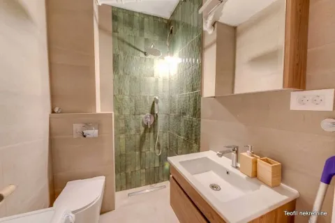 Smaller bathroom with a walk-in shower, washbasin, and wall-hung toilet. - image 12