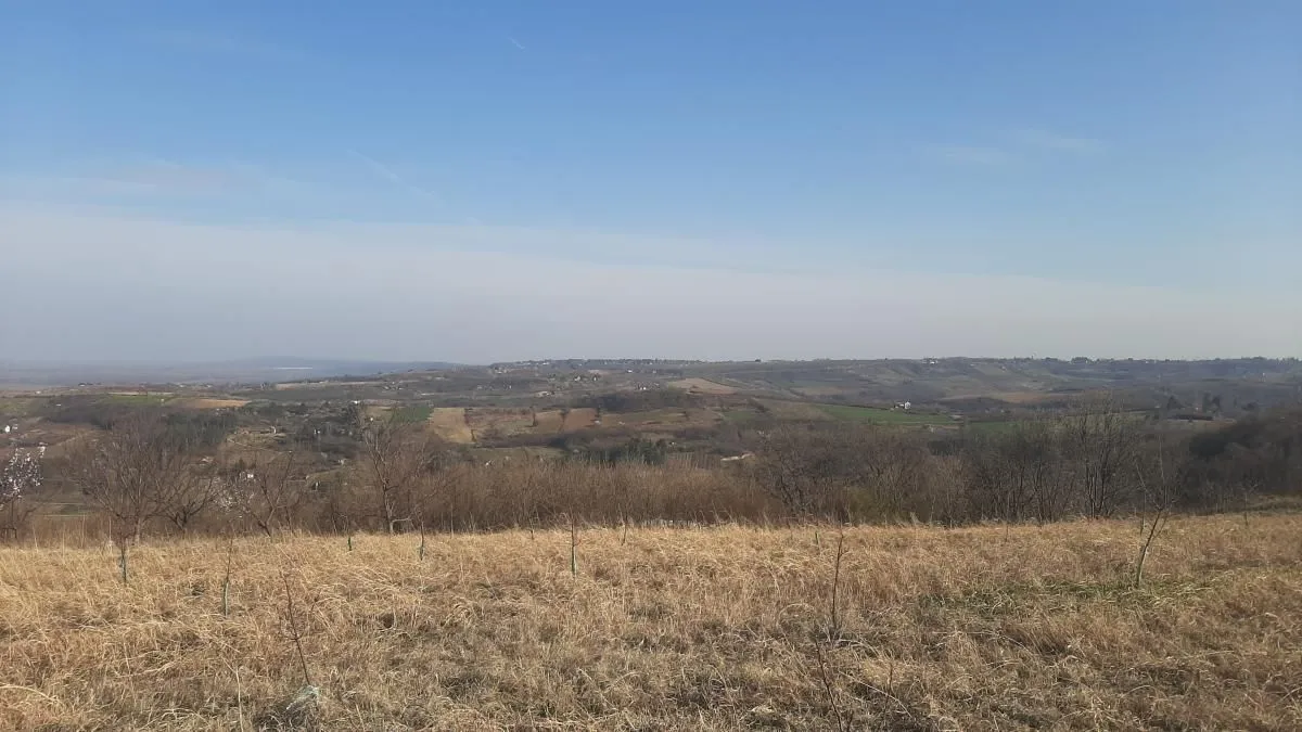 Sale, land lot, 6400m², Sremski Karlovci, Novi Sad