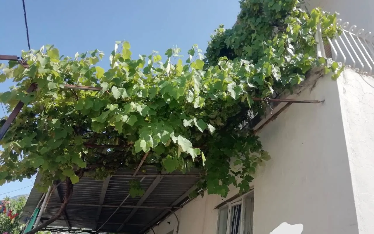 Prodaja, kuća, 160m², Sutomore, Bar