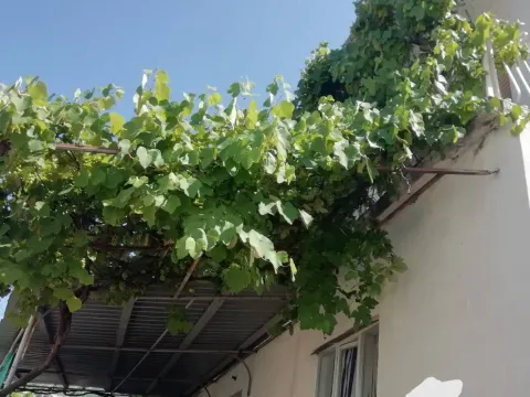 Sale, house, 160m², Sutomore, Bar - image 7