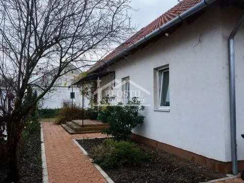 Prodaja, kuća, 304m², Kikinda, Srbija - image 20