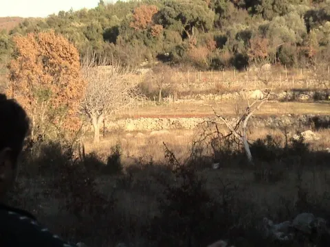 Prodaja, plac, 13750m², Utjeha, Bar - image 6