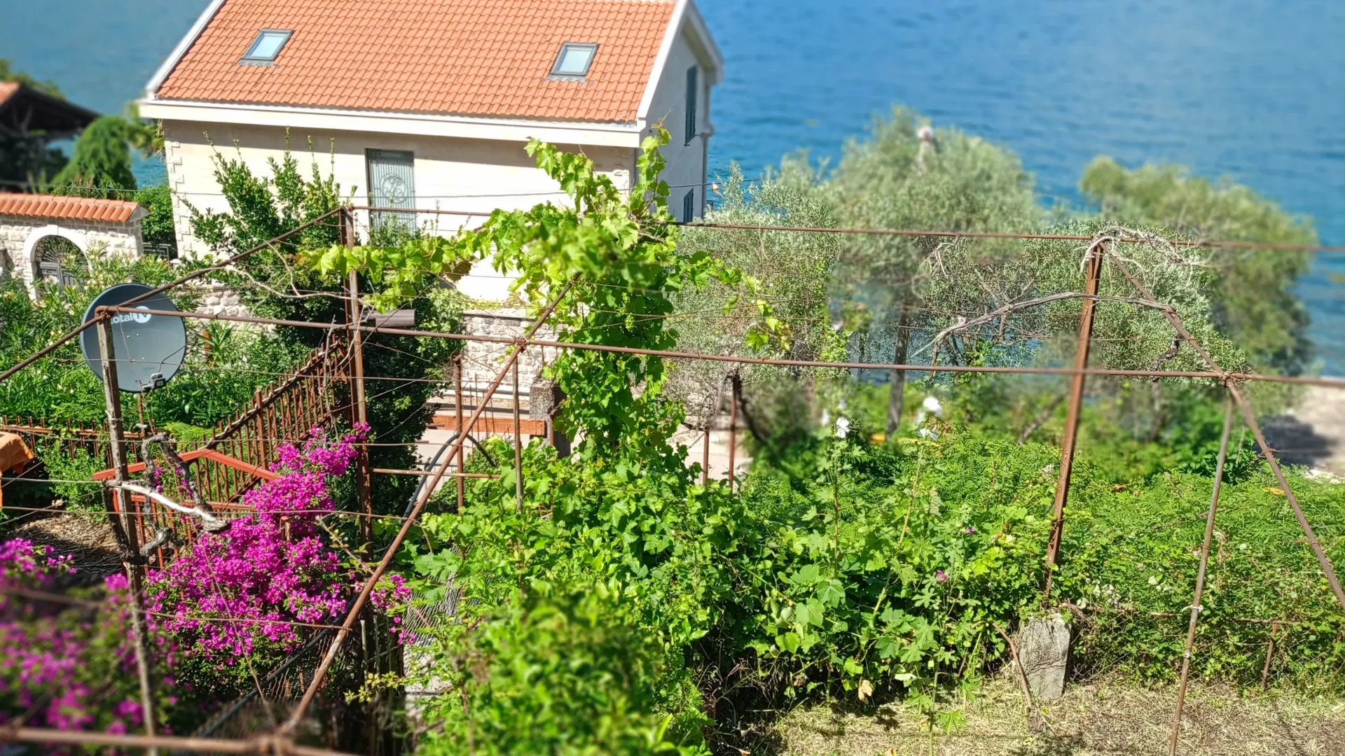 Prodaja, plac, 4614m², Donji Stoliv, Kotor